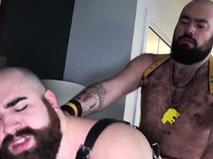 HAIRYANDRAW Bearsilien Raw Bangs Bearded Hunk After BJ