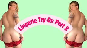 Lingerie Try-On Part 2
