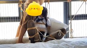 Yaya is tied up on the windowsill and finally she is rewarded with a hard mouth fuck