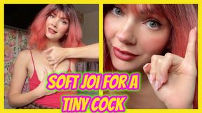 Soft JOI for a Tiny Cock