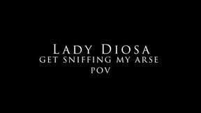 Get sniffing my ass - pov