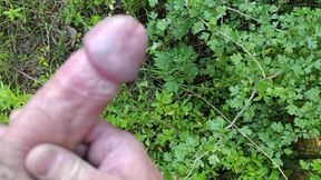 horny jerked off on the side of the road