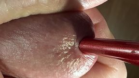 My Crocodile's Mouth Is Fed