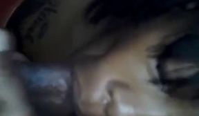suck nutted and she swallowed it