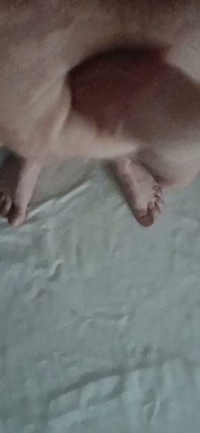 The Timid