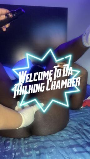 Welcome to the Milking Chamber