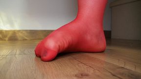 #5 Your Mistress's Feet in Red Nylon Stockings Are Your Object of Worship