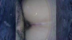 melissa alecxander e roberto alecxander