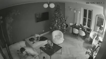 VIPCC IPCAM 2172