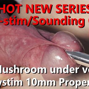 The Estim Sounding Guide P1 Mystim Proper Finn Close-up sets red uncut Mushroom under Voltage w Live Audio 4K 60fps