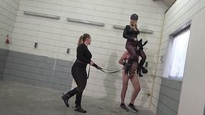 Lesson of Dressage - 2 - HD