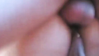 Breeding boys closeup 6