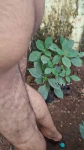 Cock shots deeply for you freely...