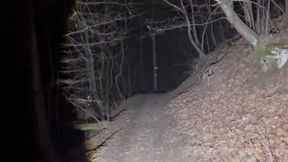 Night Hiking and Remove Most of My Clothes