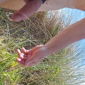 A walk through the dunes