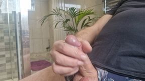 Quick wank in the bathroom