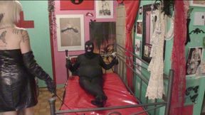 Gimp getting punished on the day bed MP4 HD (720p) starring Goddess Starla