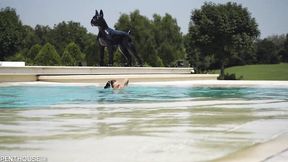 Witching Nikki Nuttz at pornstar smut