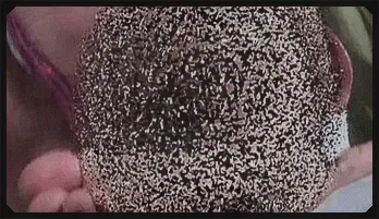 Blonde Bombshell Butt Lovers - High-Octane HD Porn