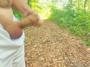 Three ruined cumshots in a public park (I hate insect)