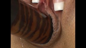 Amateur Porn - From Flirty to Filthy: Watch the Switch