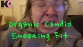 Organic Candid Sneezing Fit