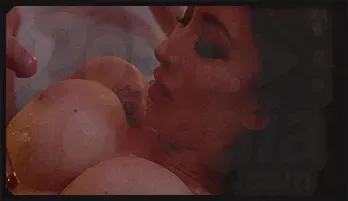 Lily Lane's Hot Hotel Encounter