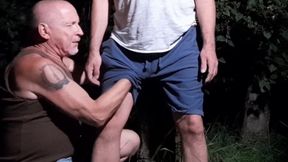 Night milking outdoor