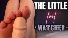 The Little Foot Watcher
