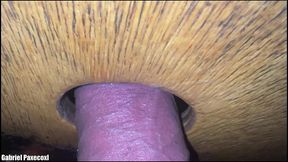 encontrei o gostoso rico marlon cacando no glory hole