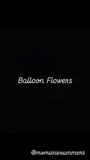 Balloon Flower Creations