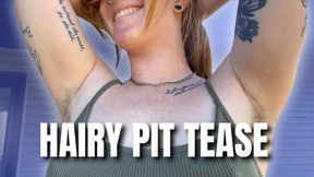 Hairy Pit Tease