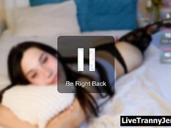 Shemale Pecker Live 563