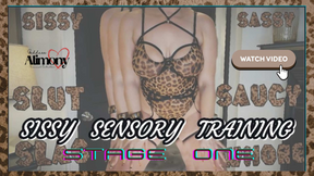 SISSY SENSORY TRAINING STAGE 1