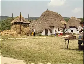 Beautiful woman meets a beast in episode 1