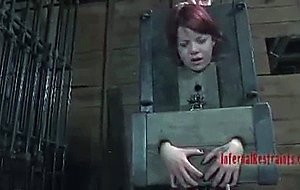 Lila the Perfect Pet