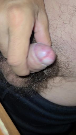 Masturbation of Hairy Cock