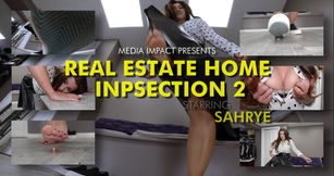 Real Estate Home Inspection 2