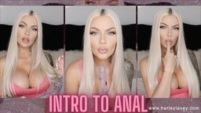 Intro to Anal