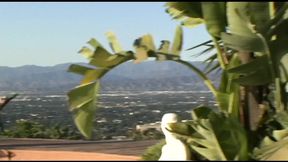 Two naughty lesbians playing with each other outdoor