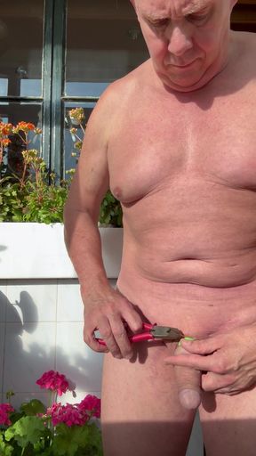 Five Elastrator Bands on cockshaft 30 minutes