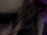 Rhino Mating with Twink Boy #2 (Gay Furry) / Wild Life Furries