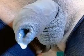 Katya delightsome Uncircumcised manstick 14335357 480p