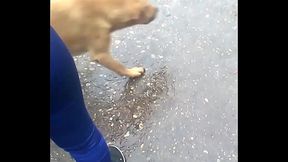 CULONA MERCADO MODELO HUANCAYO