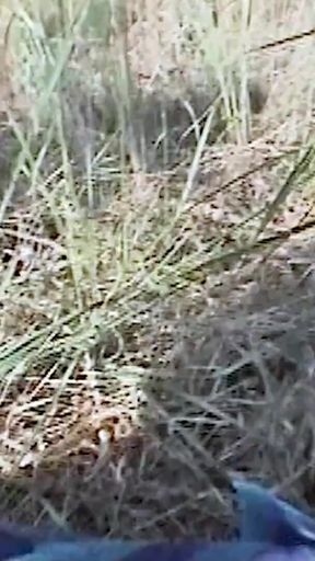 Iconic moment from &quot;Blowjob bitch blows cock in the woods&quot;