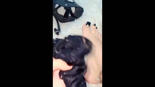 هبط يا ديوث لحس و بووس كلب مدلوول 🐕🐕 . domination for my slave