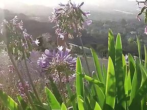 Riley Reid In In Tears In The Sun