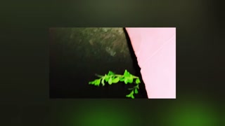 Old man fucking son's wife telugu dirty talks. తెల్లవారుఝామున కోడలి పూకు రహస్యంగా డింగిన మామగారు