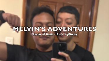 Taste of Bulk - Part 3 (Final)