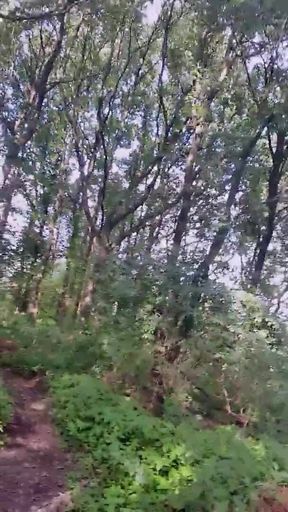 Slutboyben Cam4 Sexy Cruising Chick Iii Live Outdoor Exposure